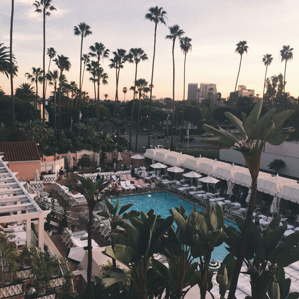 Beverly Hills Hotel Yvette King